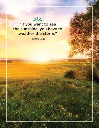 This is the day when you need to thank the higher forces for the opportunity to meet sunday with your family. Energize Your Day With These Quotes About Sunshine Sunshine Quotes Sunshine Quotes Inspirational Sunny Day Quotes