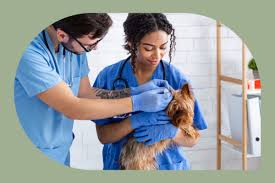 Post your teacher assistant job today. Veterinary Assistant Job Description And Education Top Trade School