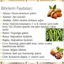 Sifalibitkitedavisi Turkiye Nin En Buyuk Sifali Bitkiler Ve Saglikli Yasam Blogu Www Sifalibitkitedavisi Com Sifalibitkiler O Vegetables Green Beans Beef