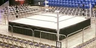 Up for sale right now. Pro Wrestling Ring 18 Style 1