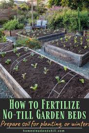 Maybe you would like to learn more about one of these? How To Amend Fertilize Garden Bed Soil Before Planting Or Between Seasons Homestead And Chill No Till Garden Organic Horticulture Garden Soil