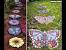 Hand Painted Stepping Stones