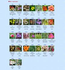 Dec 10, 2019 · december birth flower and the meaning behind it. ë¯¼ë¯¼ On Twitter May August Korean Birth Flower