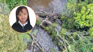 Valeria Afanador: Continúa la Búsqueda de la Niña Desaparecida en Cajicá - Imagen principal del artículo