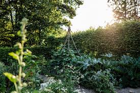 Gemuse Und Krauter Fur Die Zweite Saisonhalfte Saen Und Pflanzen Osmers Garten Garten Bepflanzen Garten Pflanzen Pflanzen
