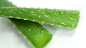 Remedios Caseros Para Aliviar Infecciones Vaginales