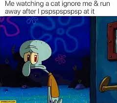 Check spelling or type a new query. Me Watching A Cat Ignore Me And Run Away After I Pspsps At It Spongebob Crying Starecat Com