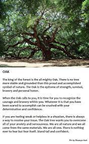 Pin By Neta On Nature Oak Tree Tattoo Oak Tree Symbolism Tree