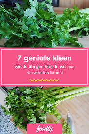 Staudensellerie Das Gemuse Das Seinen Ruf Nicht Verdient Foodly Staudensellerie Staudensellerie Rezepte Sellerie