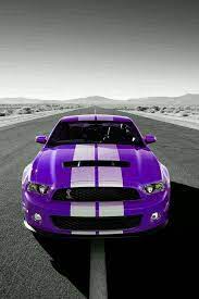 Purple Shelby Ford Mustang Shelby Ford Shelby Gt 500 Mustang Cars