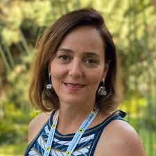 The Sunflower reaches Brazil