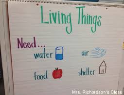 Living And Nonliving Things Mrs Richardsons Class