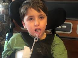 Fundraiser for Nancy Linkous by Rylee Linkous : Wheelchair Van for Booder!