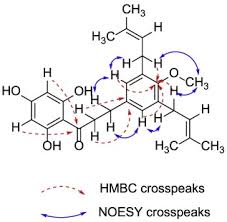 Image result for Eriosema laurentii