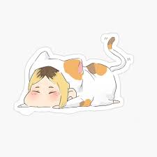 Kenma Kozume Cat