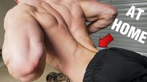 The tibialis anterior is the name of the muscle located on the front surface of the lower leg. Strong Lower Back Workout No Equipment Youtube