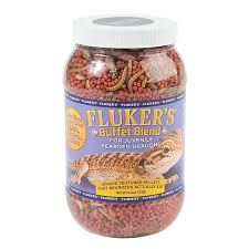Bearded dragons are easy reptiles to care for, but need the right habitat, food and heating to thrive. Fluker S Buffet Blend For Bearded Dragons Reptile Food Petsmart