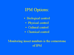 It relies on predation, parasitism, herbivory, or other natural mechanisms, but typically also involves an active human management role. Integrated Pest Management Ipm Concepts And Grower Training