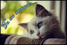 Ya des jours ou je suis inquiet quand ça fait un bout que tu n'es pas allé sur facebook :( tu me manques. á… 6 Tu Me Manques Images Photos Et Illustrations Pour Facebook Bonnesimages