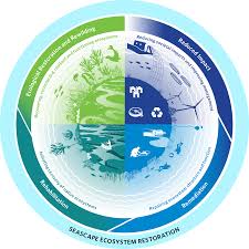 Image result for Blue Cosmo 2008 145