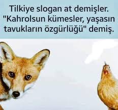 Yasemin Adli Kullanicinin Edebiyat Panosundaki Pin Komik Seyler Komik Guzel Soz