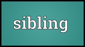Sibling Meaning Youtube