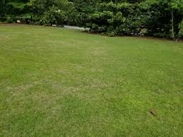 Continue reading and you will find some smart and helpful facts for watering your plants. How Often Should A Lawn Be Watered Home Garden Information Center