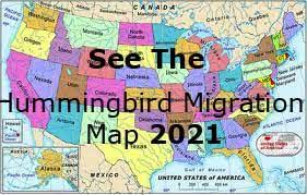 Maybe you would like to learn more about one of these? Hummingbird Migration Map 2020 Updated Hourly With Your Sightings