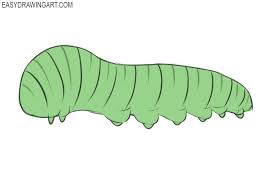How To Draw A Caterpillar Easy Drawing Art Drawing Tutorial Easy Easy Drawings Drawings