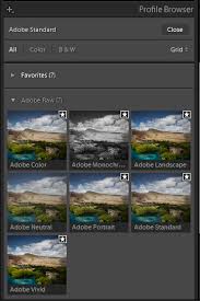 Learn which keys you can use to save time during post production. How To Adjust Image Tone And Color And Work In Grayscale In Lightroom Classic