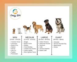 Best Dog Food Dog Food Dog Food Online Pet Club India Best Dog Food Dog Food Online Dog Food Recipes