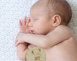 Baby Milestone Monthly Photo Props