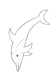 page 27 sur 50 hugolescargot com coloriage dauphin poisson de clown