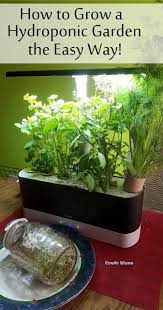 How To Plant An Indoor Hydroponic Herb Garden The Easy Way Hydroponic Herb Garden Hydroponic Gardening Hydroponics
