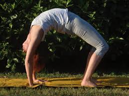 We did not find results for: 7 Days Meditation And Hatha Yoga Retreat In Sabina Italy Bookyogaretreats Com