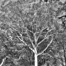 Not only has he been featured here before. 13 Trevor Williams Ideas Light Painting Light Painting Photography Geometric Lighting