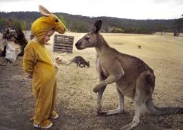 G Day The Sweet Moment A Kangaroo Sniffs Out The Four Year Old Imposter In A Onesie Kangaroo Animals Funny Animals