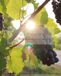 Chardonnay is a perfect white wine for cheese pairings. Food Wine Pairings Chardonnay Insolence Wine
