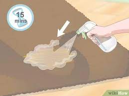 Mehrmals hintereinander so aufbringen, dass man auf das einsickern etwas warten muß. Geruch Von Hundeurin Aus Teppichen Entfernen Wikihow