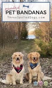 Personalized Dog Bandanas For Your Fabulous Furbaby By Three Spoiled Dogs We Are A Dog Accessory Boutique Offering Bea Personalized Dog Beds Spoiled Dogs Dogs