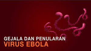 Pengertian virus ebola atau ebola virus yang biasa disingkat dengan ebov, merupakan satu keluarga dengan penyakit demam hemorrhagic ebola. Ebola Virus Dan Penyakit 2021