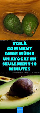 Voila Comment Faire Murir Un Avocat En Seulement 10 Minutes Trois Methodes Naturelles Pou Faire Murir Des Avocats Trucs Et Astuces Cuisine Conseils De Cuisine