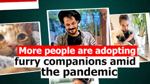 Aug 03, 2020 · for o'dair, the rush to adopt meant she had to be patient to find her pandemic pet. More People Are Adopting Furry Companions Amid The Pandemic Times Of India