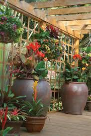 Maybe you would like to learn more about one of these? 18 Vietnam Garden Ideas Plants Container Gardening Garden Design