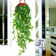 Artificial plants offer a great solution for hassle free décor. Simulation Plant Hanging Vine Wall Hanging Artificial Fake Plant Rattan Home Window Wall Green Plant Decoration Wedding Layout Artificial Plants Aliexpress