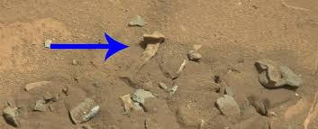 Nasa's mars 2020 perseverance rover will look for signs of past microbial life, cache rock and soil samples, and prepare for future human exploration. That Human Bone Found In A Nasa Mars Photo Isn T Even New Here S The Real Story