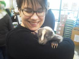 Pets at Home King's Lynn