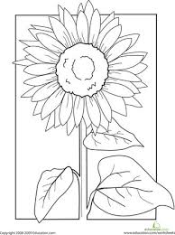 Berbicara tentang bunga matahari aku akan tetap memilih bunga ini dibandingkan bunga yang bunga matahari itu merupakan bunga yang melambangkan ceria dan setia terhadap apa yang. Lovely Bunga Matahari Coloring Pages Bazetinha