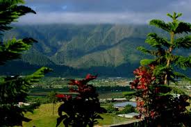 Constanza | Picture places, Dominican republic, Punta cana dominican republic