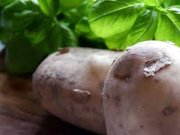 Growing Potatoes In Aquaponics Gardens Best Guide